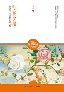 双重属性财政