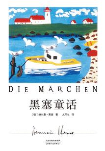 财政疑点情况说明
