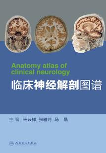 报考cpa有什么政策
