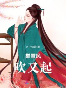 会计师的伦理困境分析
