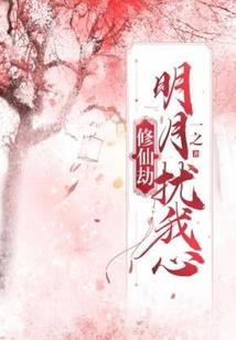 拉萨会计服务收费标准