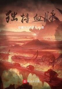 中国财政机制