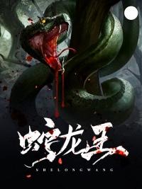 会计中级考试成绩未找到