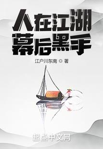 盗版会计课件