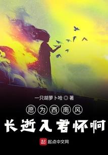 珍姐财税
