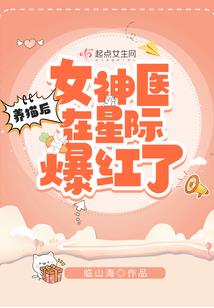中国总会计师的法务会计