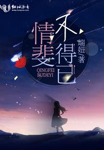 商业会计核算方案