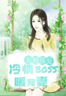 中级会计学书绿色和红色