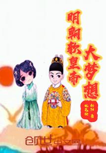 软件行业会计前景如何