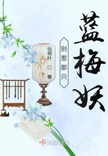 沙漠骆驼初级会计实务