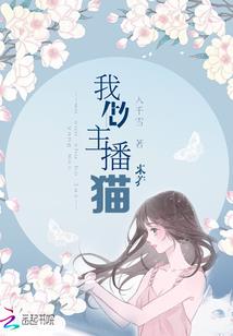 经济师中级会计老师
