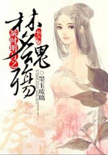 accountant会计师