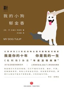 衡水市考会计师