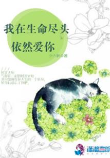中级会计经济法听哪个