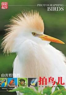 固原会计考试报名费