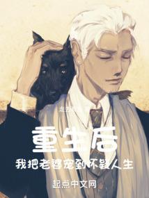 法财税综合案例