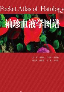 中级会计网课低价