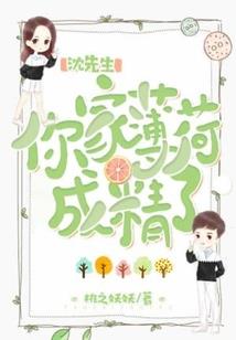 初级会计公式讲解课程
