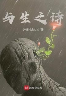 陶醉会计师