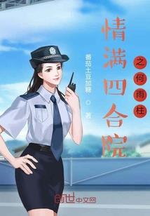 宏观视野与微观会计