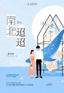 财政部财政债务申报网
