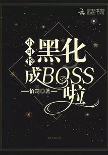 19年河南初级会计