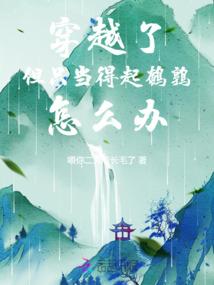 绍兴会计培训机构
