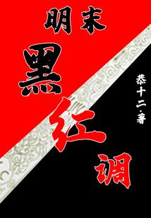 财政收支系统法的局限