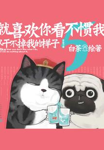 江苏泰州中级会计证书