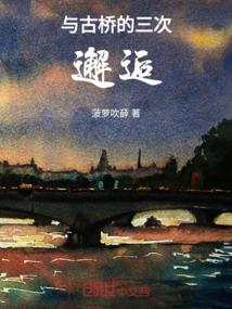 国家电网会计岗考试重点