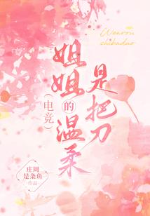 17中级会计教材