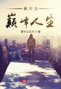 滨湖新区财税筹划价格