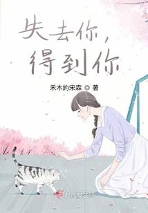津南财税筹划服务