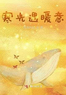 CPA签字后终身追责
