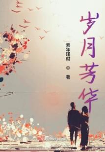 龔丰财税