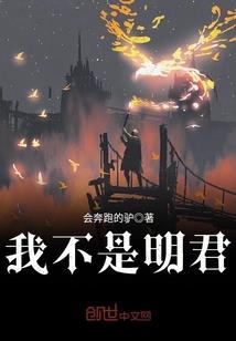 会计师的里程表