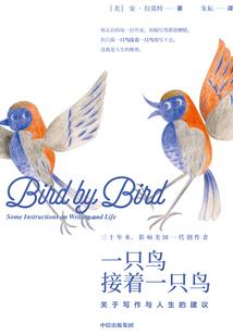 财政内网怎样登录