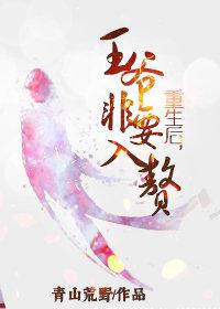 安宁市财政局待遇如何