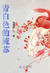 cpa审计周计划