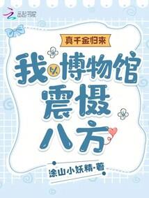 中级数字财税师是什么