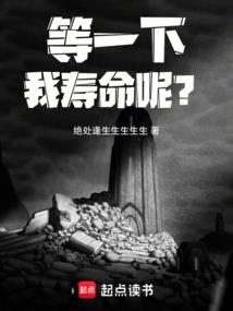 财政检查