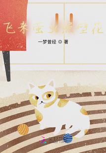 考中级会计看哪里的视频
