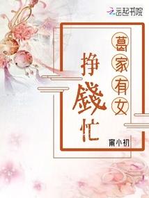 各省财政总额