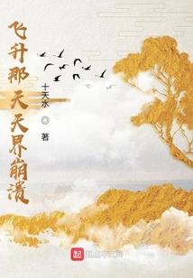 市净率东奥会计