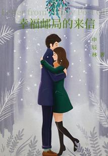 高级会计师实务封面