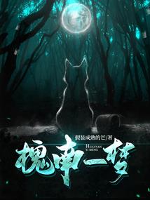 cpa考纲能力等级含义