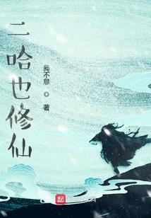 注册会计师全国考试难度