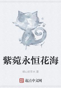 属于简单会计分录的事