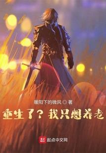会计手工帐明细账