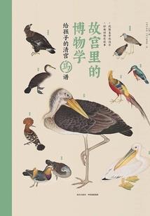 初级会计不看书只做题